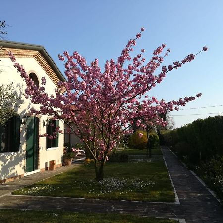Casa Pianta Ξενοδοχείο Cavallino-Treporti Εξωτερικό φωτογραφία