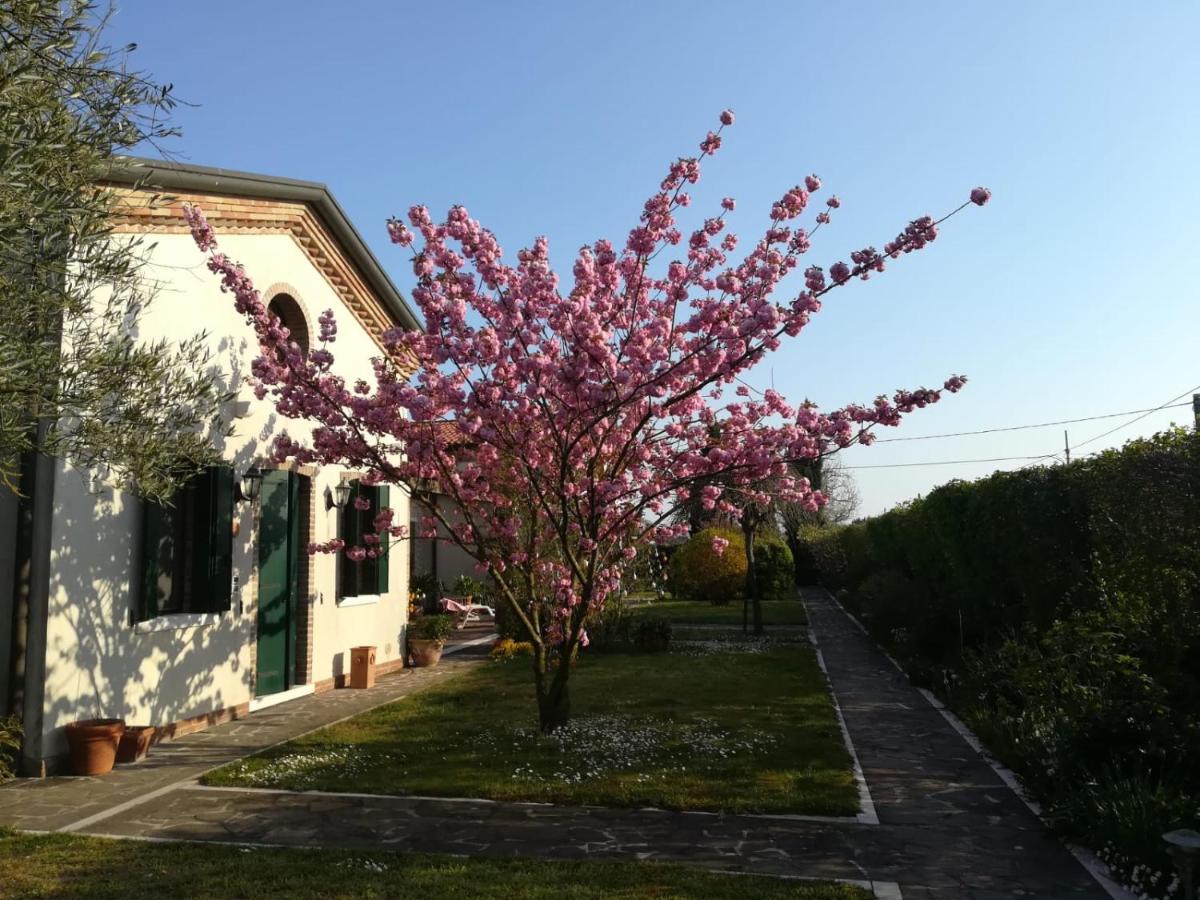 Casa Pianta Ξενοδοχείο Cavallino-Treporti Εξωτερικό φωτογραφία