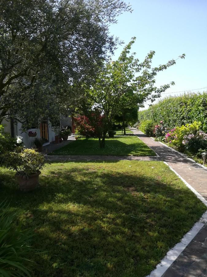 Casa Pianta Ξενοδοχείο Cavallino-Treporti Εξωτερικό φωτογραφία