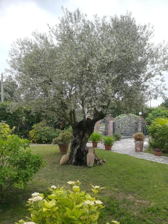 Casa Pianta Ξενοδοχείο Cavallino-Treporti Εξωτερικό φωτογραφία